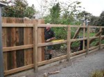 Palings straight but only partly completed