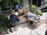 Mixed the concrete, set the seat in position