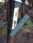 Weta-2-QEP