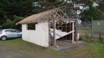 shedmove2